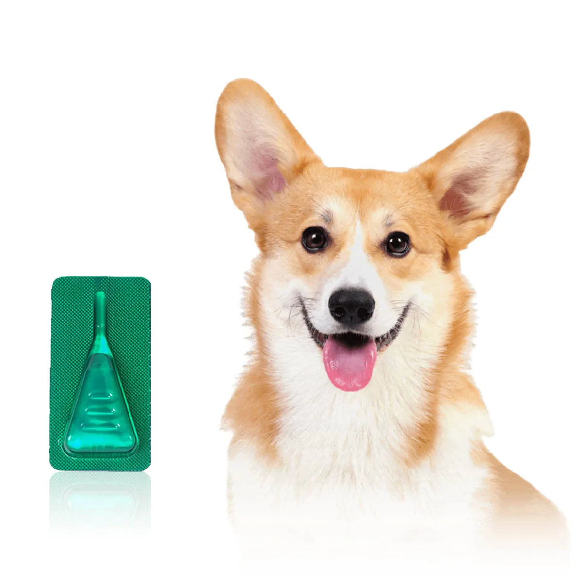 Anti-Flea And Itching Drops