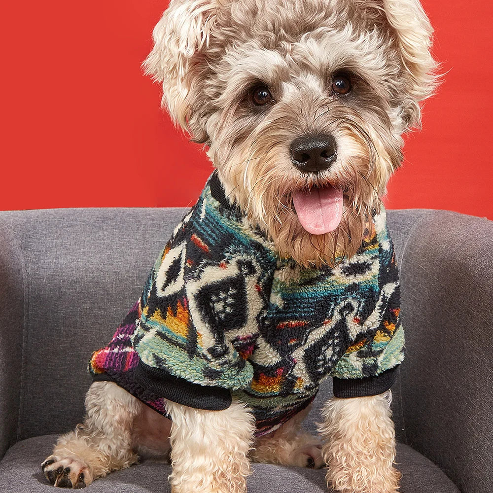 Trendy Printed Dog Sweater