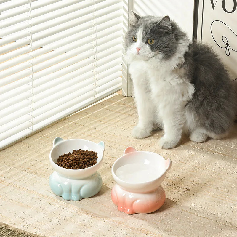 Neck Support Cat Bowl