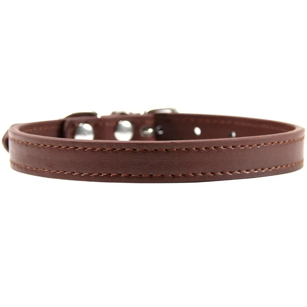 Color Splash Cat Collar