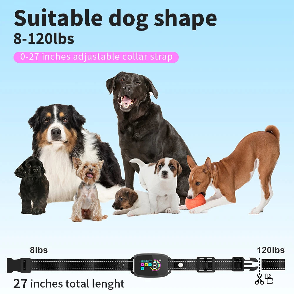Automatic Dog Training Collar