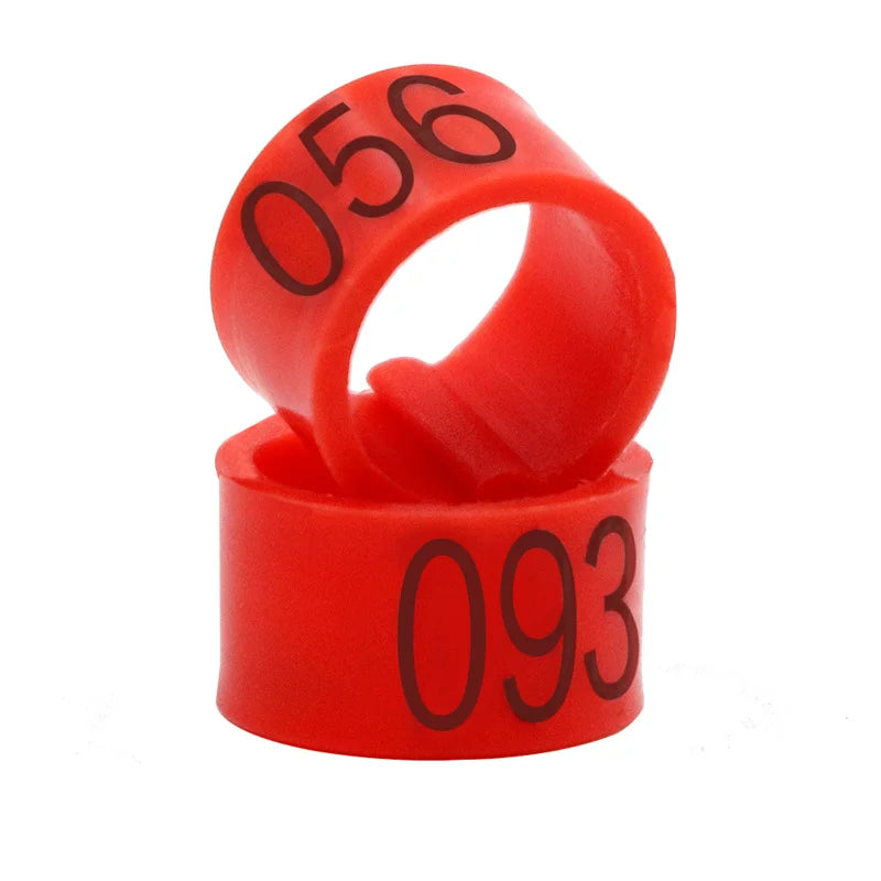 Colorful Foot Rings with Text