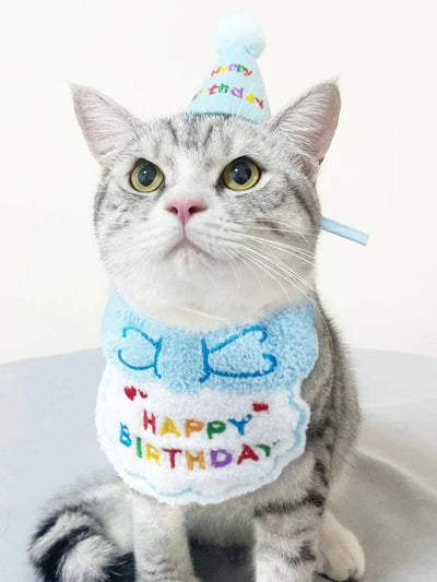 Birthday Bib & Hat Set