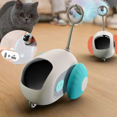 Fun with the Smart Cat Toy