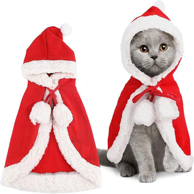 Santa Cat Outfit Costume