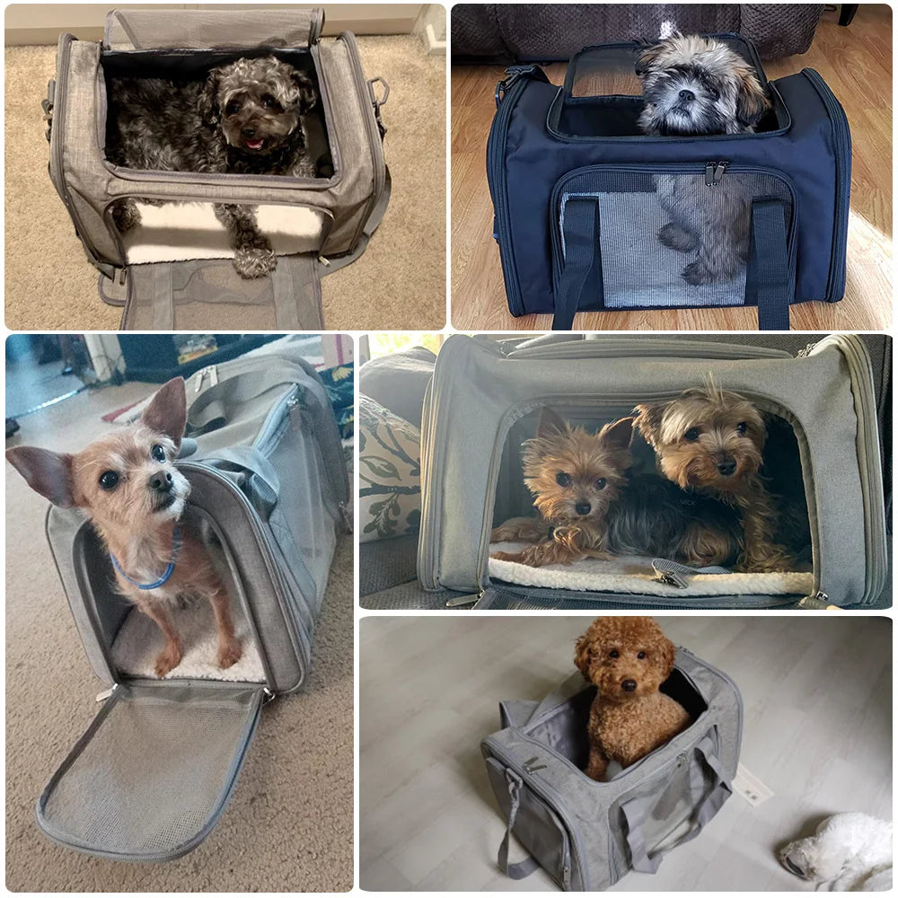 Soft Dog Backpack Carrier