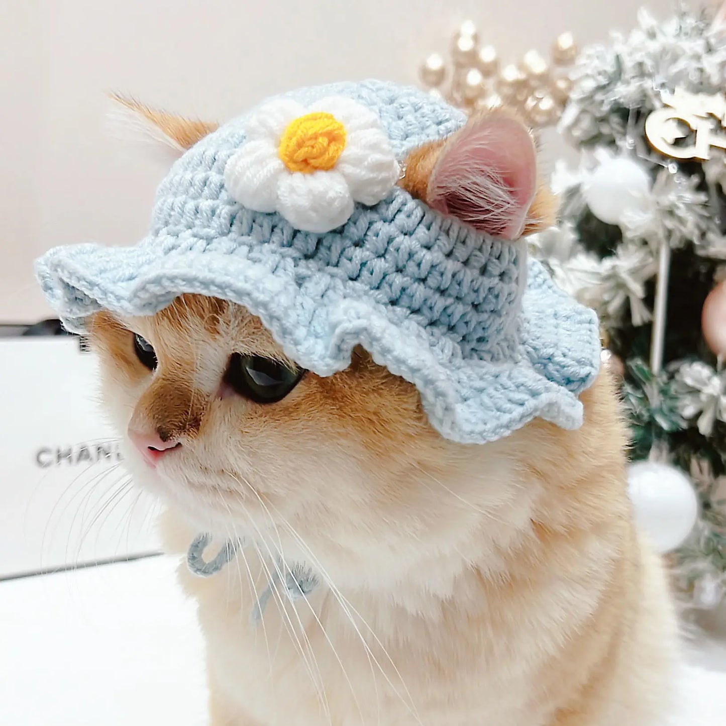 Cute Refined Cat Hat