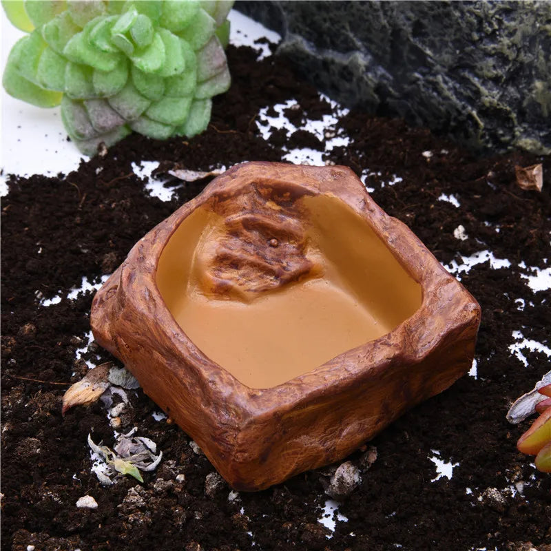Pet Feeder Bowl and Drinker