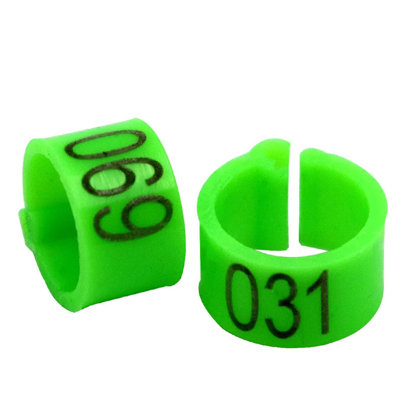 Colorful Foot Rings with Text