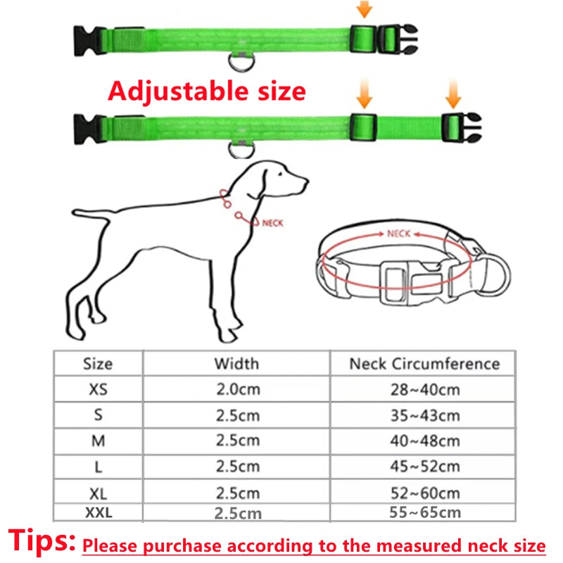 USB Rechargeable LED Collar