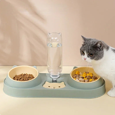 Tilted Pet Feeder Bowl