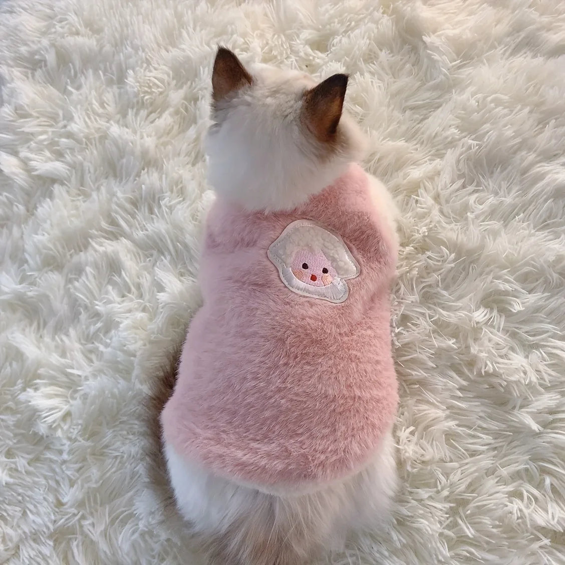 Winter Clothes for Cats