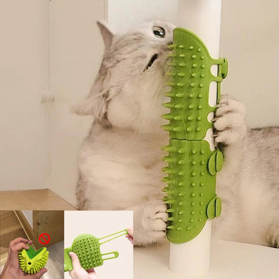 Cat Scratching Brush