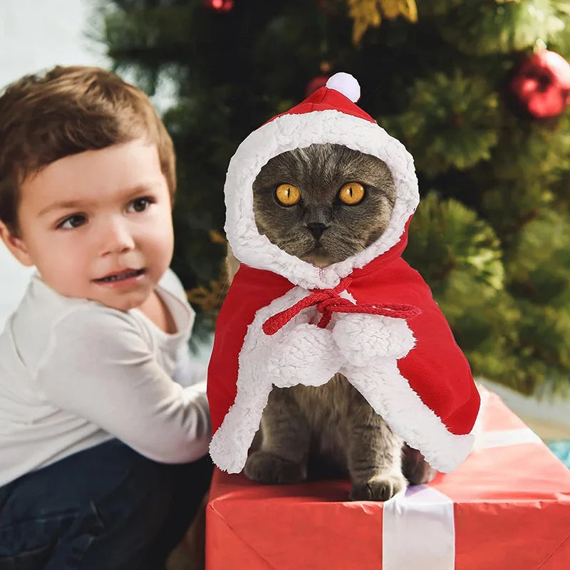 Santa Cat Outfit Costume