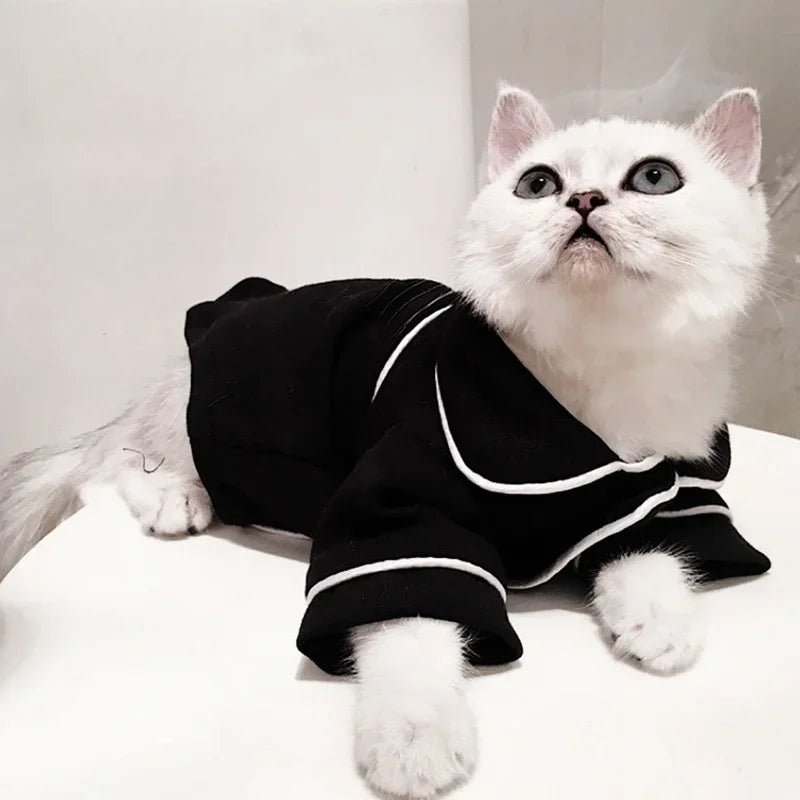 Fun Festive Wear for Cats