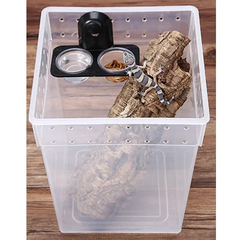 Suction Reptile Feed Bowls