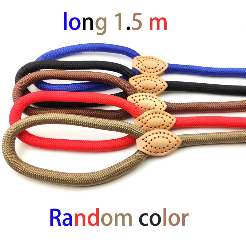 Pawfect Fit Harness Set