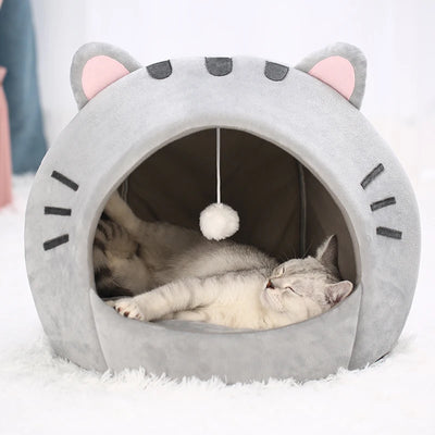 Comfort with the Super Cat Bed
