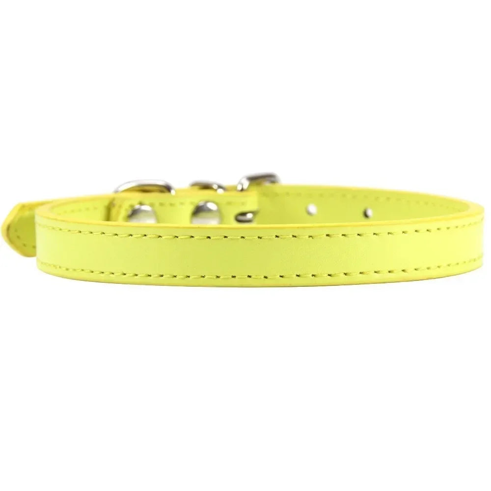 Color Splash Cat Collar