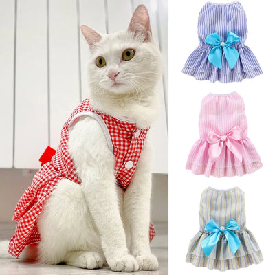 Summer Pet Cat Dress