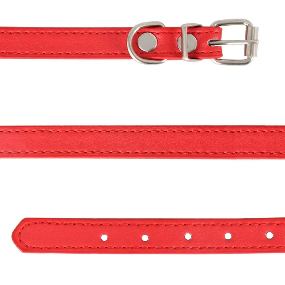 Color Splash Cat Collar