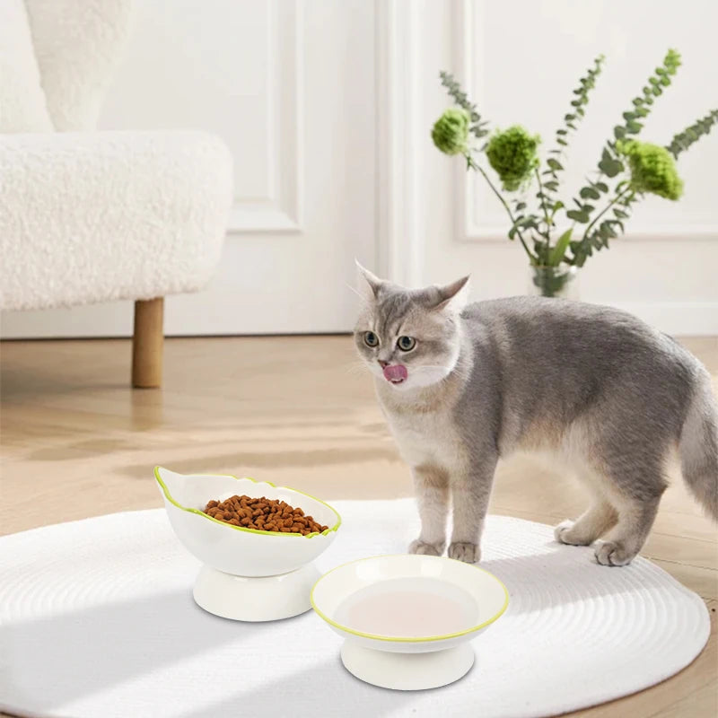 Stable Feeding Cat Bowl