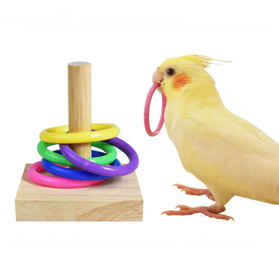 Bird Training Toys Wooden Set