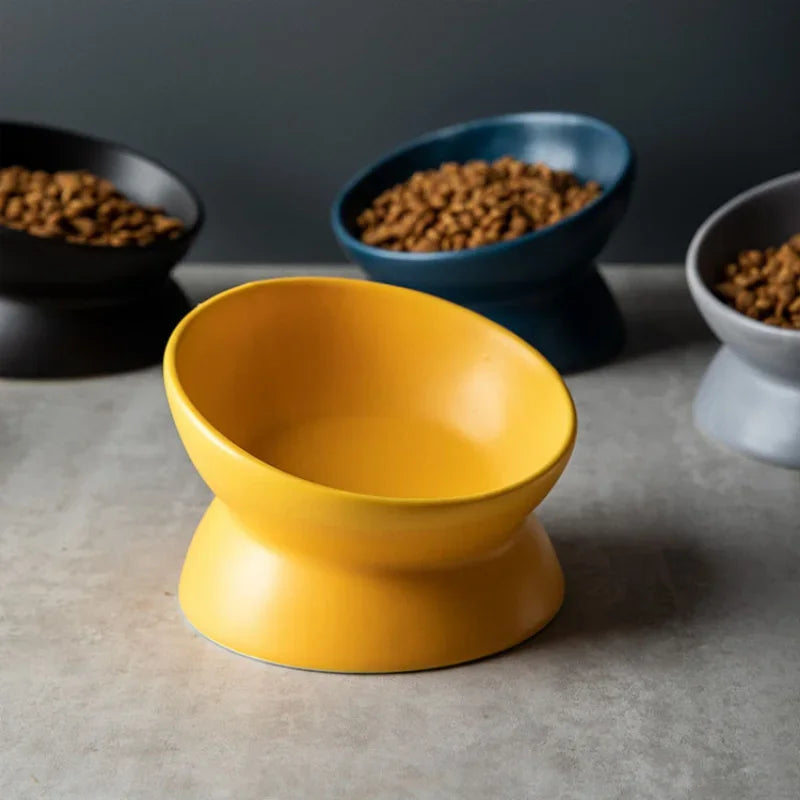 Ceramic Feeding Cat Bowl