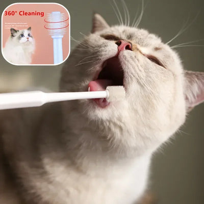Gentle Cat Teeth Brush