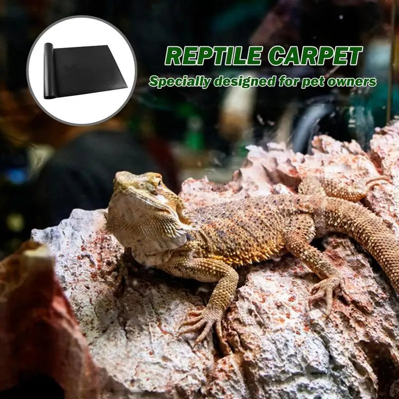 Carpet Terrarium Reptile Liner
