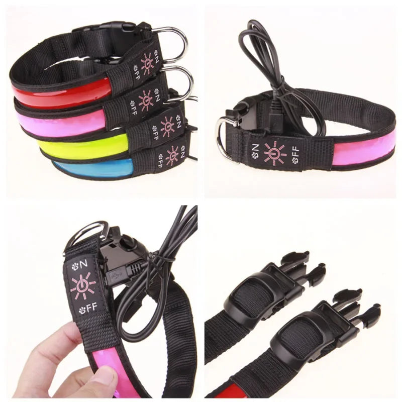 Glowing Dog Collar LED
