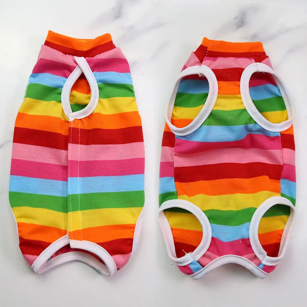 Fashion Forward Cat Suit