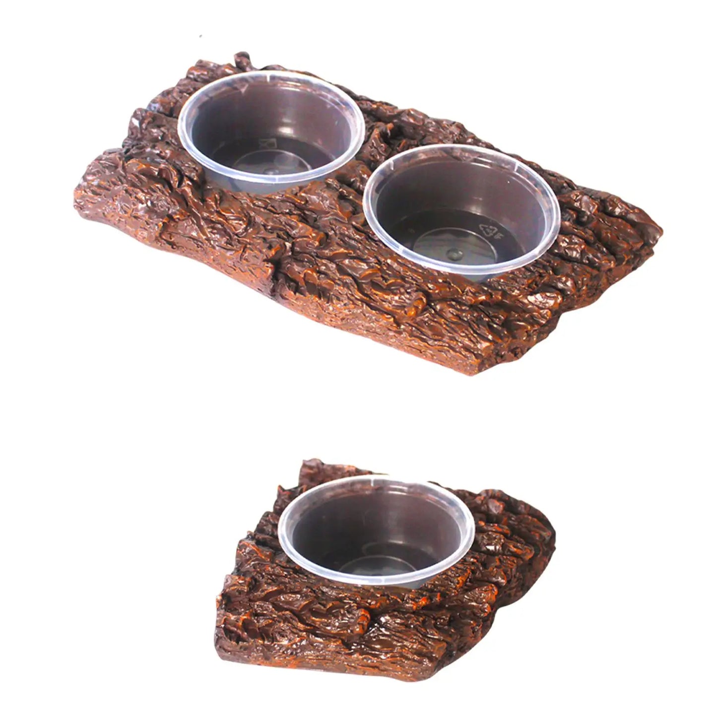 Frog & Lizard Feeder Dish