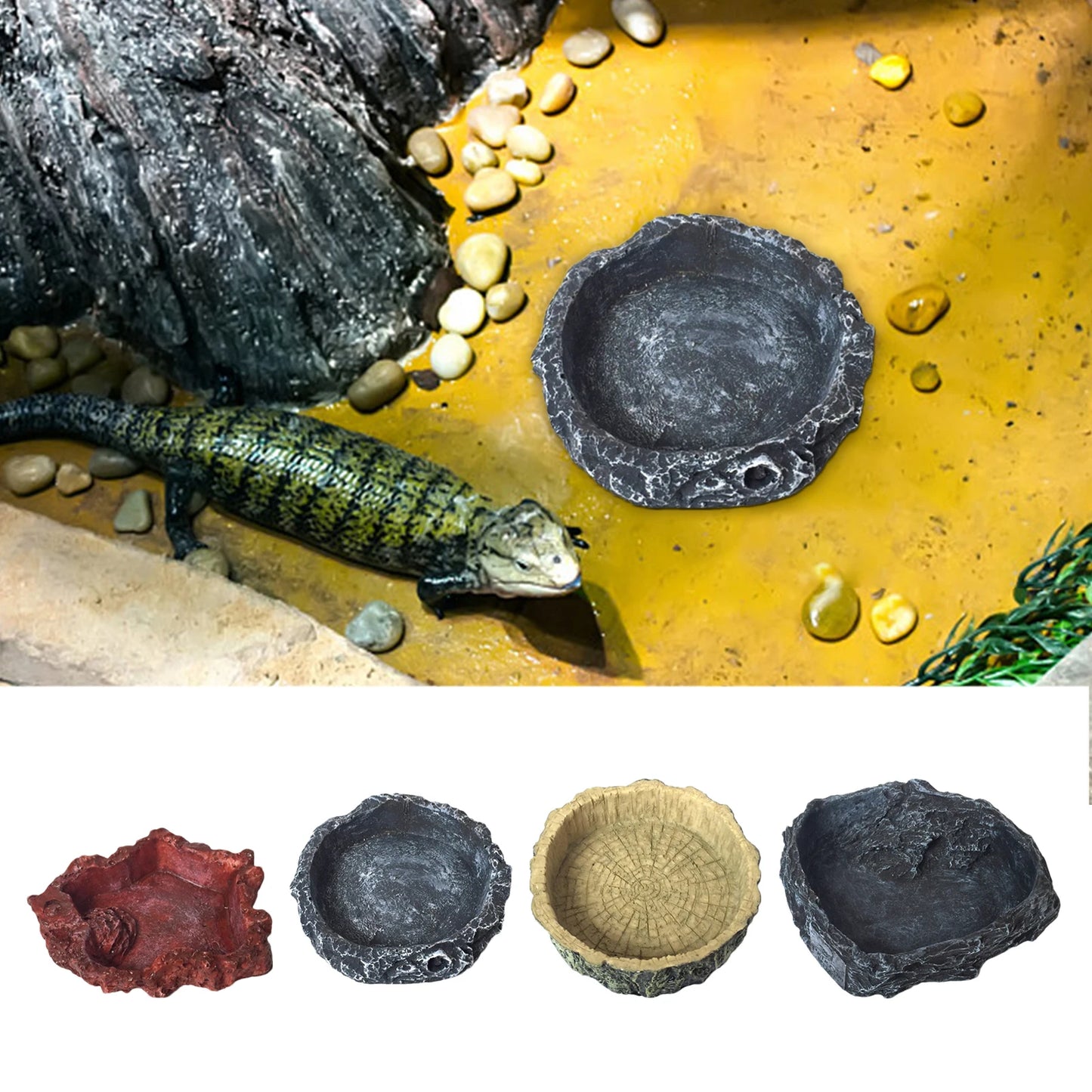 Pet Feeder Bowl and Drinker