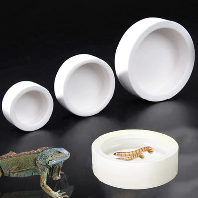 Reptile Food Bowl
