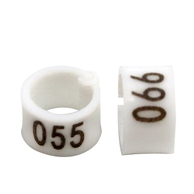 Colorful Foot Rings with Text
