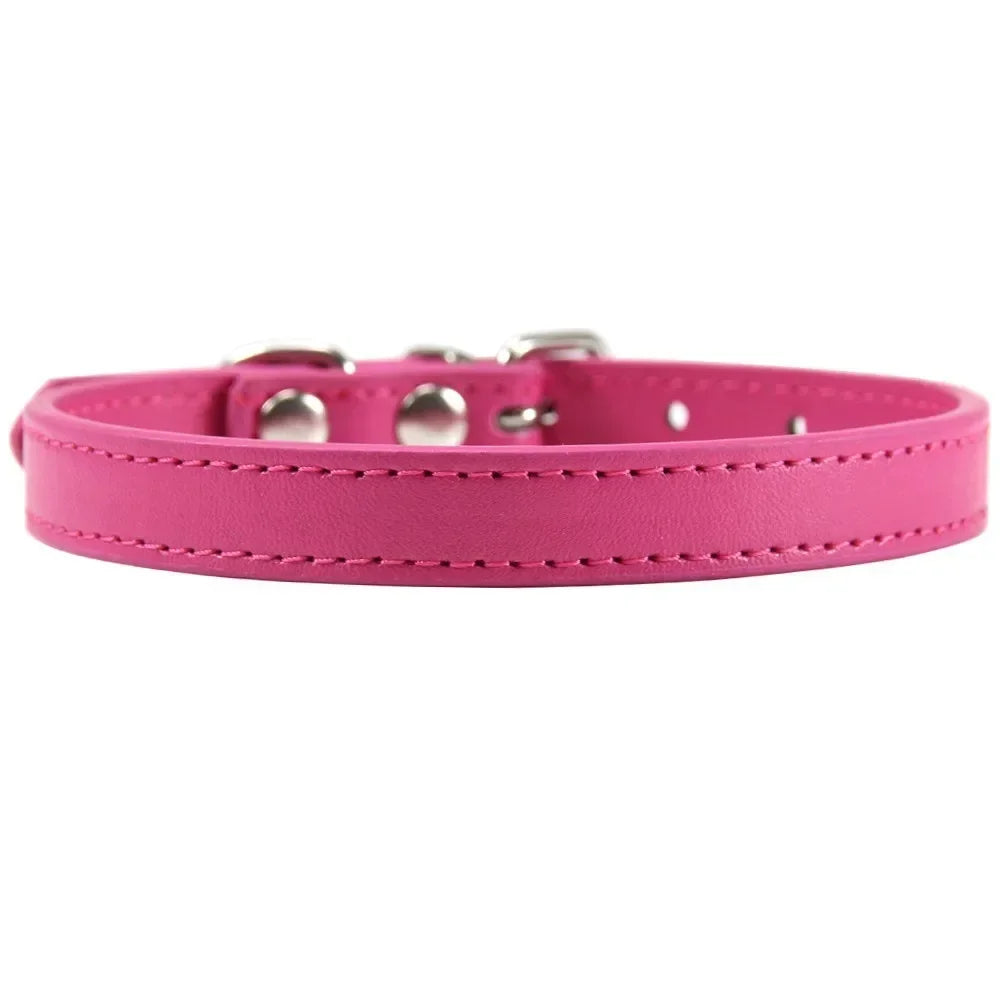 Color Splash Cat Collar