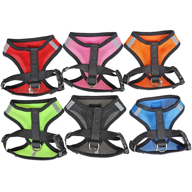 Adjustable Cat Harness & Leash
