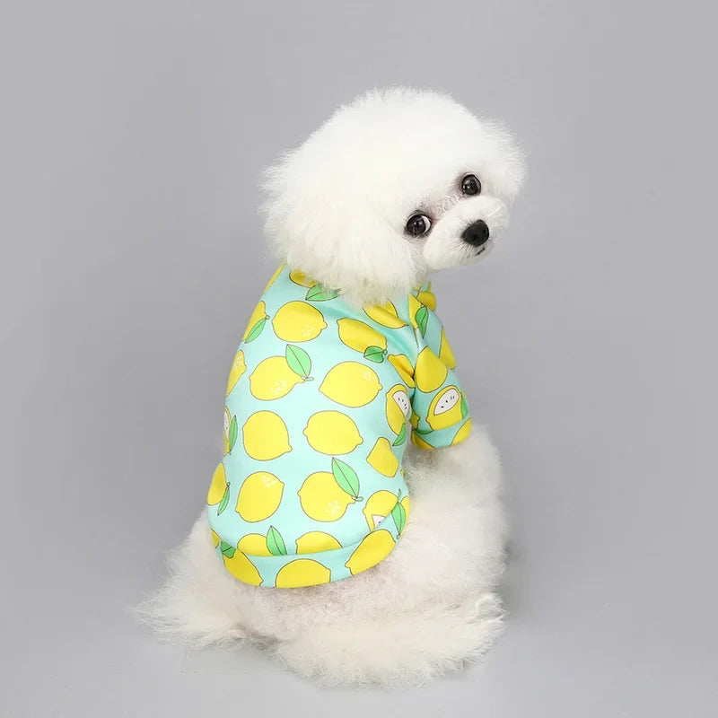 Cozy Dog Hoodie for Winter