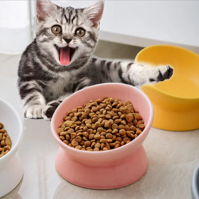 Ceramic Feeding Cat Bowl