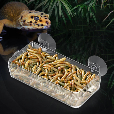 Durable Reptile Feeding Dish