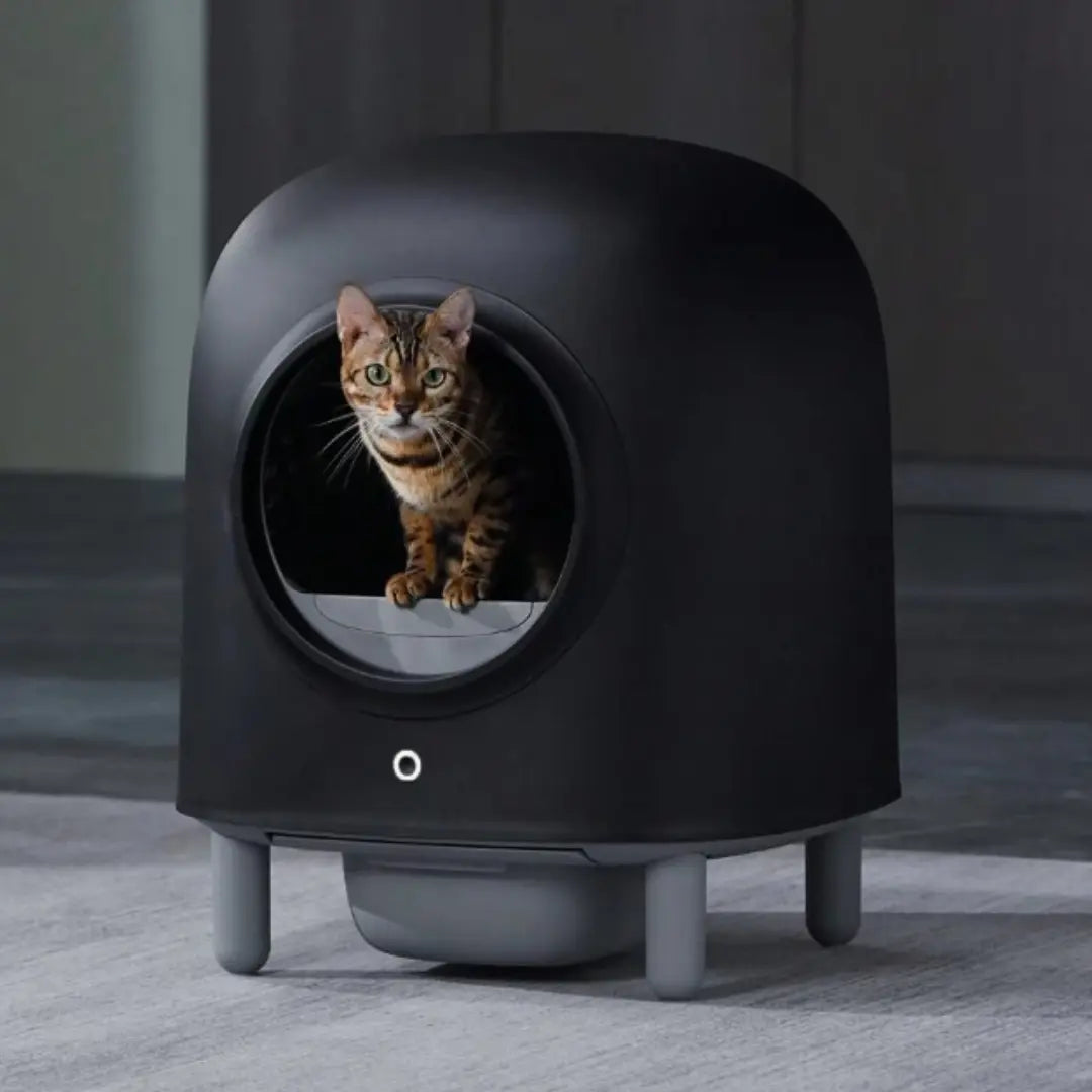 MeowFresh™ Cat Litter Box