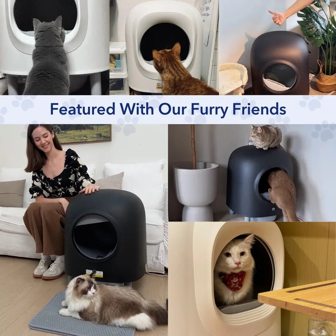 MeowFresh™ Cat Litter Box