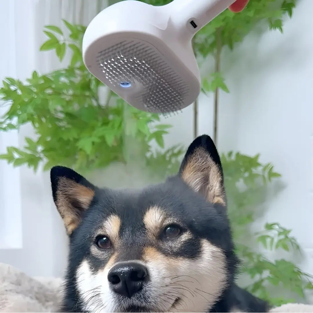 GroomEase™ Pet Grooming Brush