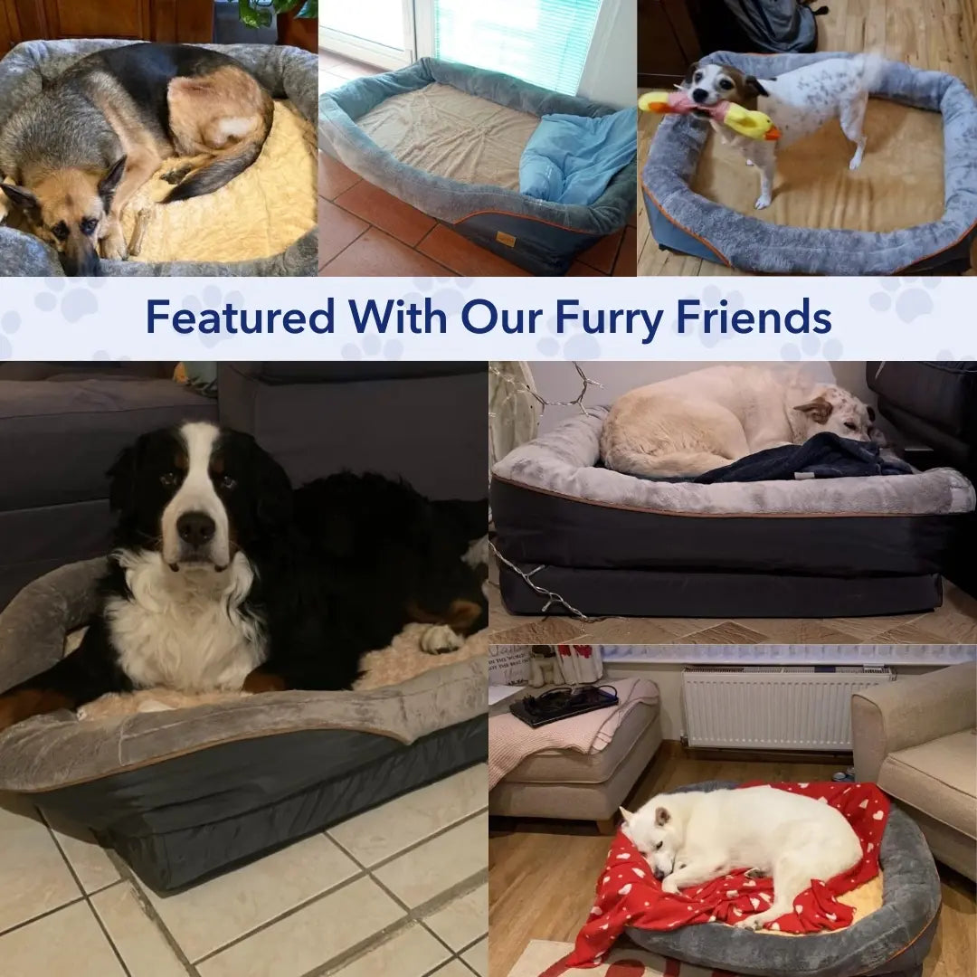 DreamRest™ Dog Orthopedic Bed