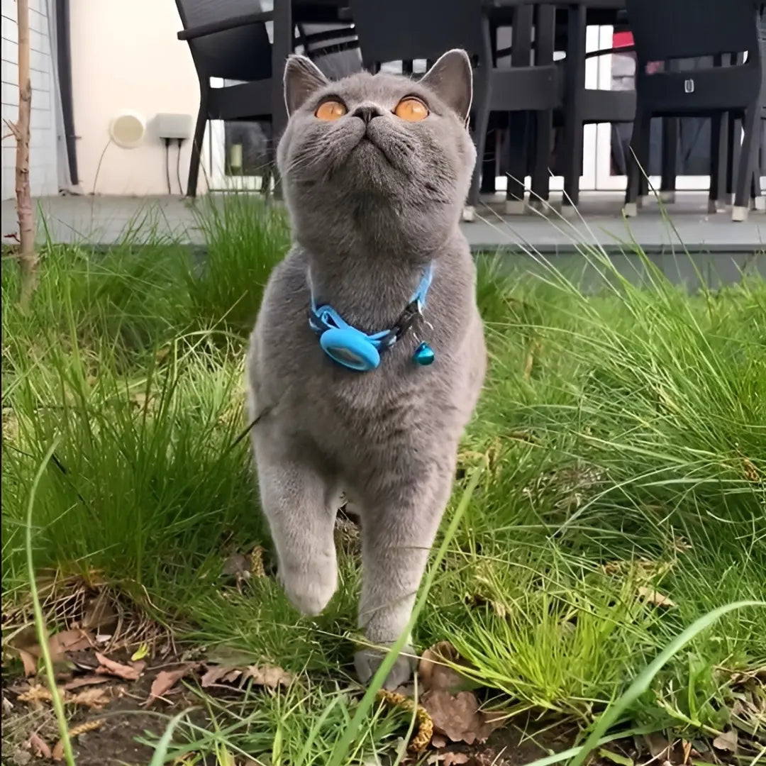 طوق حامل PurrTrack™ Cat AirTag