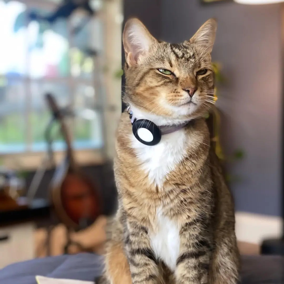 طوق حامل PurrTrack™ Cat AirTag