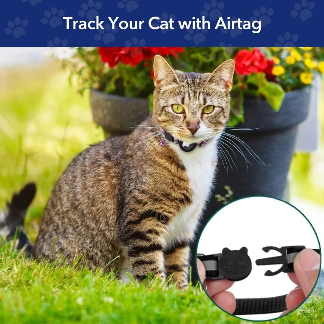 طوق حامل PurrTrack™ Cat AirTag