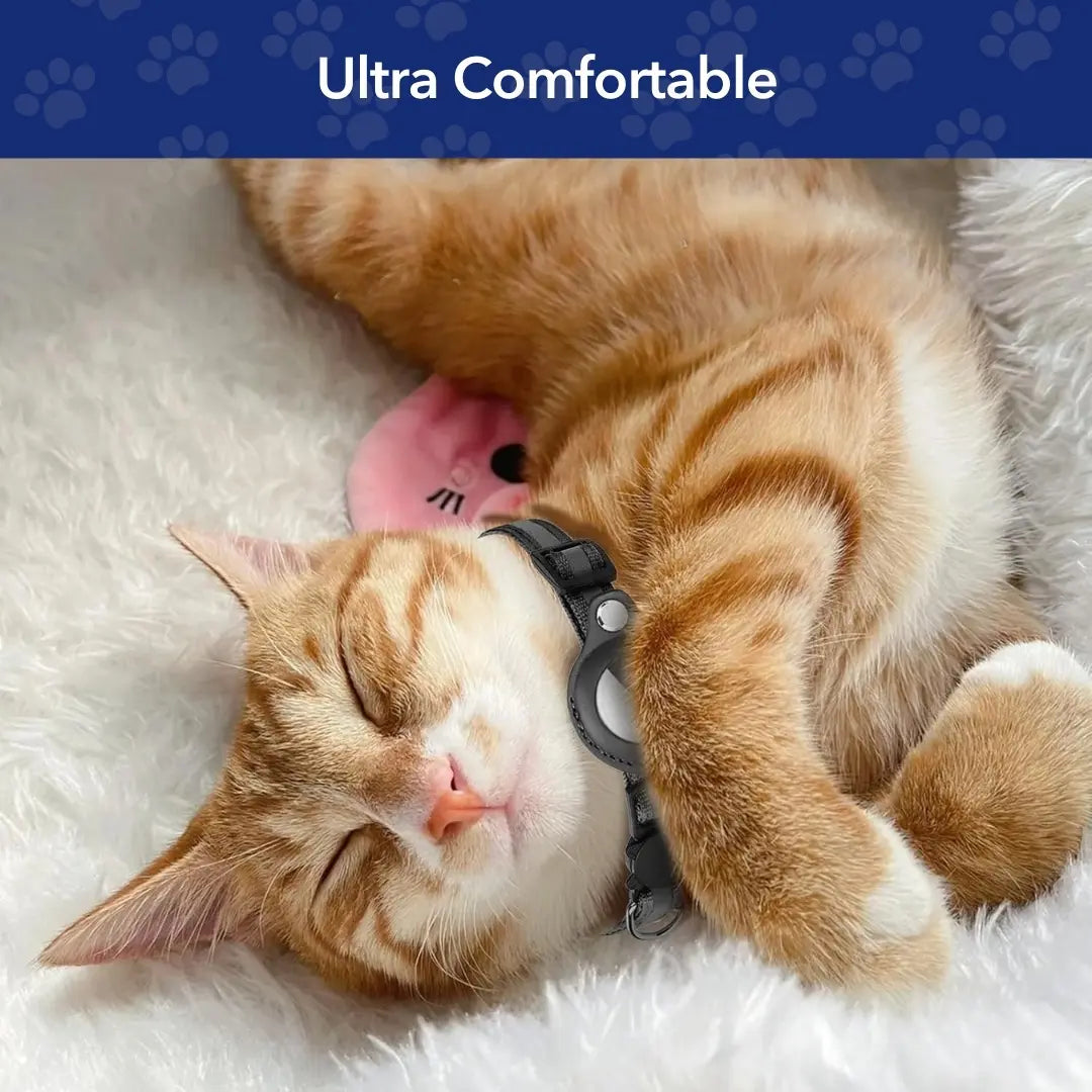 طوق حامل PurrTrack™ Cat AirTag