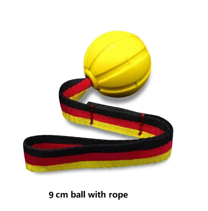 Dog Toy Balls On a Rope